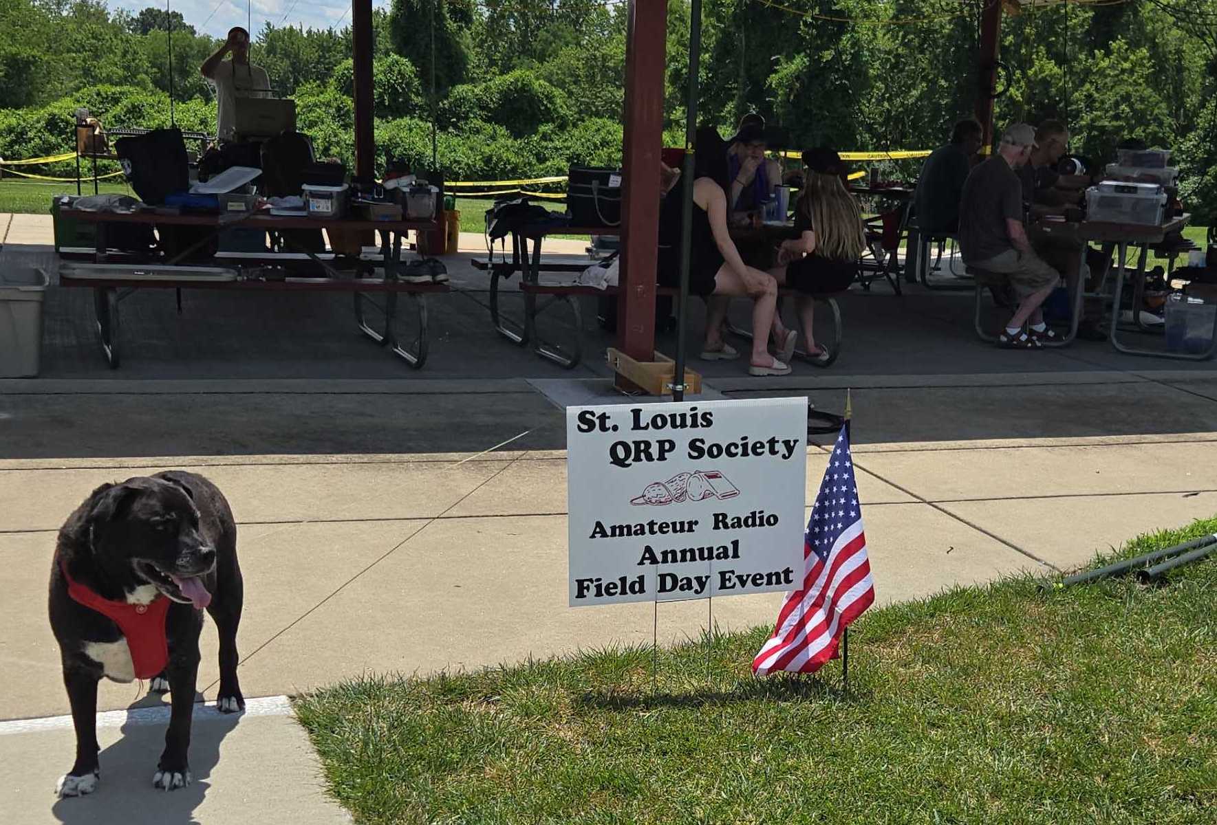 Field Day 2025: Good Times at Bridgeway Park